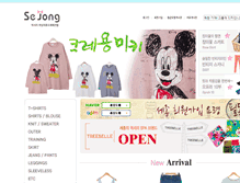 Tablet Screenshot of csejong.com